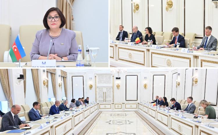 Milli Majlis Chair Sahiba Gafarova Receives Belgian Minister of Foreign and European Affairs, Foreign Trade and Federal Cultural Institutions 