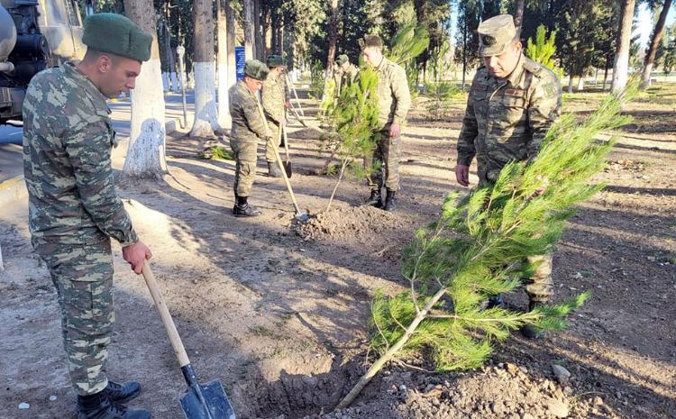 Azerbaijan Army holds tree-planting campaigns 