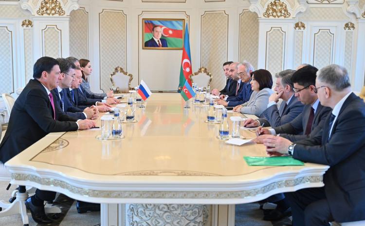 Sahiba Gafarova Meets with Delegation Led by St Petersburg Governor 