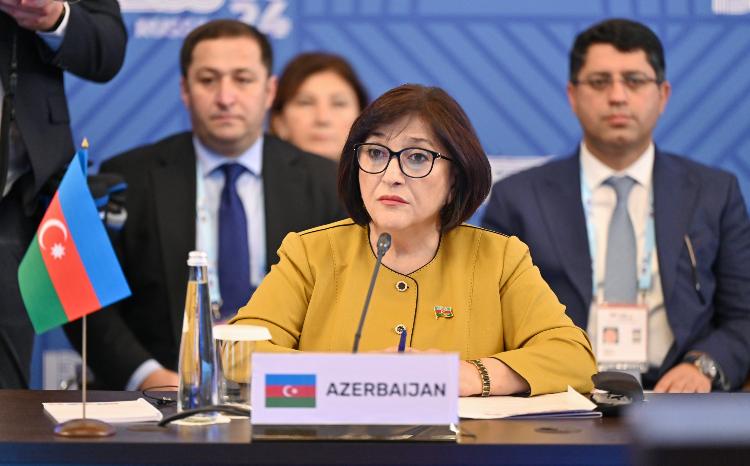 Сагиба Гафарова: парламентские организации превращены в средства давления и применения двойных стандартов 