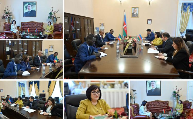 Sahiba Gafarova Meets Heads of Parliament of Belarus, Ethiopia whilst in St Petersburg 