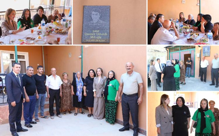Daim zirvələrə doğru! 