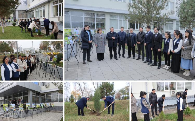 Daşkənddə “Yaşıl dünya naminə həmrəylik ili” çərçivəsində COP29-a həsr  olunmuş ağacəkmə aksiyası keçirilib 