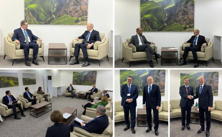 Energetika naziri COP29-da GECF, OPEC Fondu və GEIDCO ilə görüşlər keçirib 