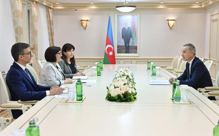 Speaker of Milli Majlis Meets with OSCE PA Vice President 