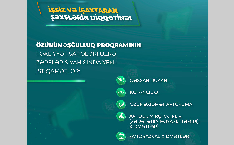Özünüməşğulluq proqramının fəaliyyət sahələri üzrə zərflər siyahısına yeni istiqamətlər əlavə edilib 