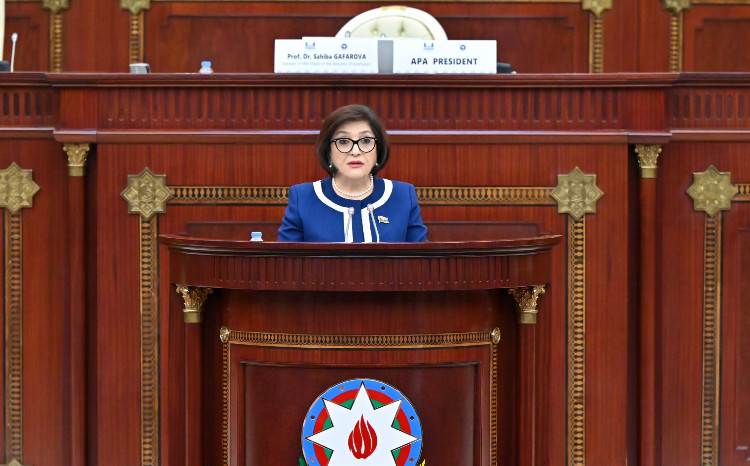 Sahiba Gafarova: Milli Majlis is Actively Engaged in Various Parliamentary Organisations’ Work 