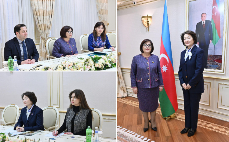 Speaker of Milli Majlis Sahiba Gafarova Meets with President of Turkic Culture and Heritage Foundation 