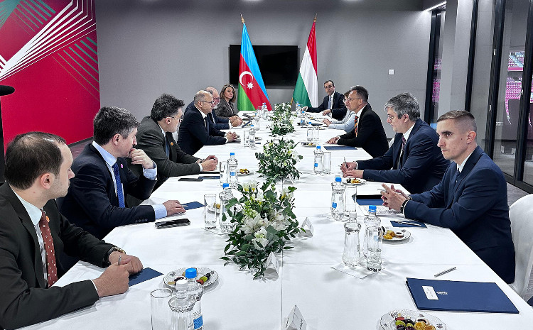 Minister Parviz Shahbazov met with Peter Szijjarto in Budapest 