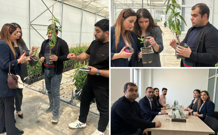 Деловая встреча представителей БГУ в компании Grand Agro Invitro 