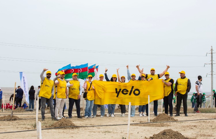 Yelo Bank внёс свой вклад в озеленение нашей страны 