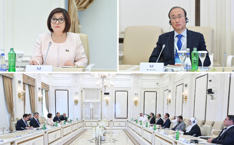 Sahibə Qafarova Ali Audit Orqanları Asiya Təşkilatının və Ərəb Ali Audit Qurumları Təşkilatının İdarə Heyətlərinin üzvləri ilə görüşüb 