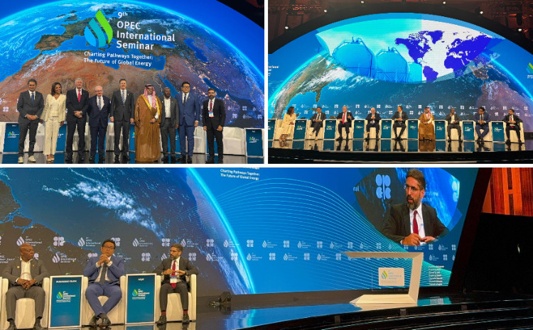 SOCAR-ın prezidenti Vyanada keçirilən 9-cu OPEC beynəlxalq seminarında iştirak edib 