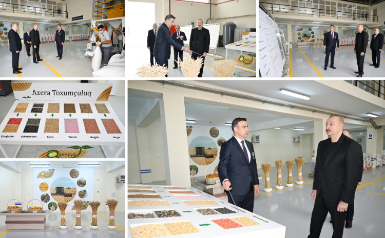 President Ilham Aliyev visited seed processing facility in Sabirabad Industrial District 