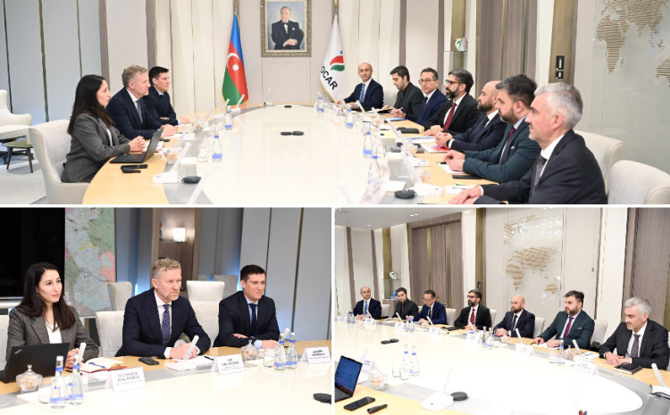 SOCAR-ın prezidenti ABB şirkətinin Şimali Avropa üzrə baş vitse-prezidenti ilə görüşüb 