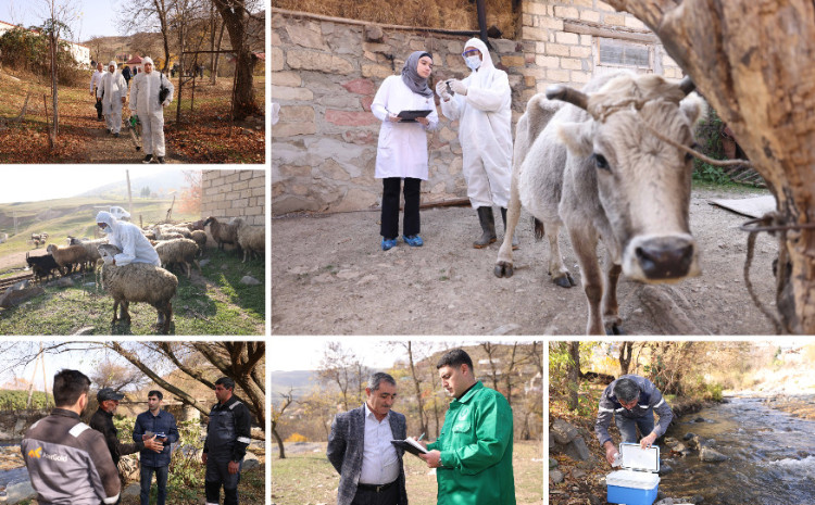 The project “Supporting agricultural development in the Dashkasan and Goygol districts” continues successfully 