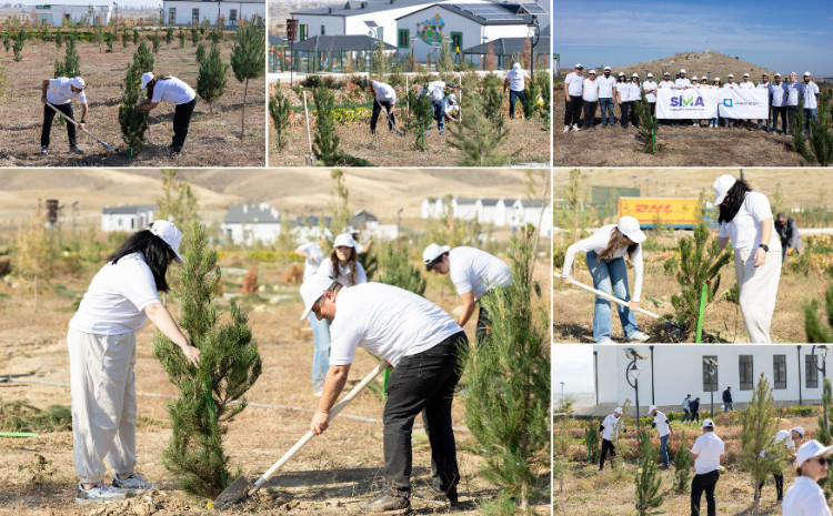 AzInTelecom Organized Tree-Planting Campaign in Aghdam 