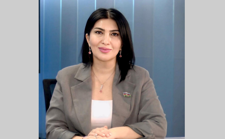 Elnarə Akimova: “İndi müxalifət zamanı deyil, birlik və bütövlük zamanıdır” 