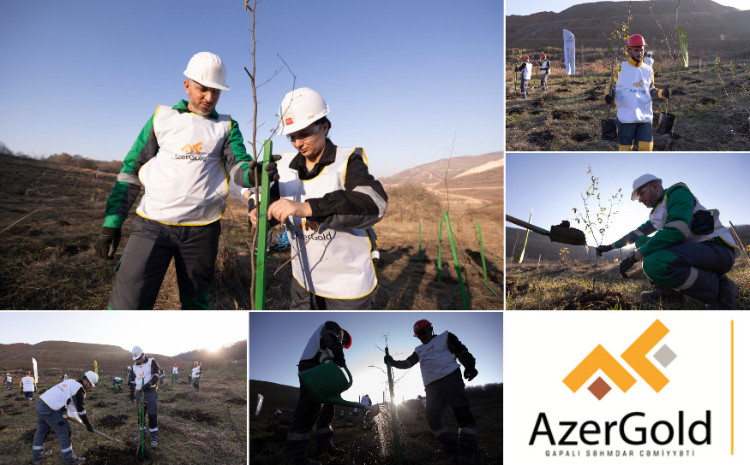 «AzerGold» провело очередную акцию по озеленению по случаю дня Победы в Дашкесене и Гёйгёле 