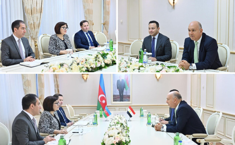 Milli Məclisin sədri Sahibə Qafarova Misirin ölkəmizdəki səfiri ilə görüşüb 