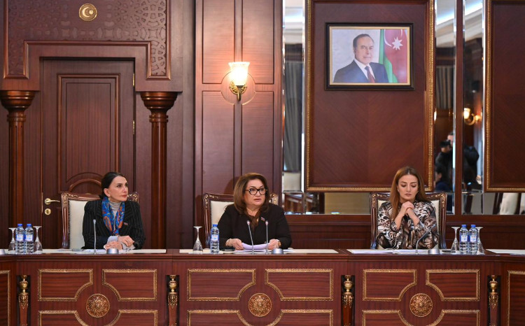 Milli Məclisin Ailə, qadın və uşaq məsələləri komitəsinin növbəti iclası keçirilib 