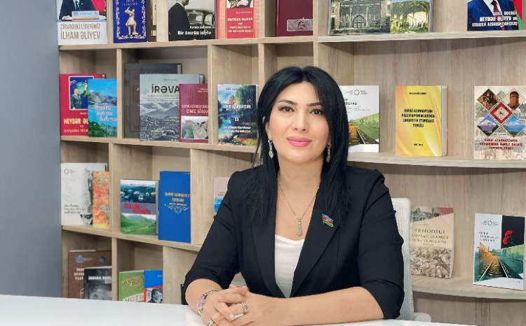 Dünya Azərbaycanlılarının Həmrəyliyi Günü - Milli birliyin təntənəsi 