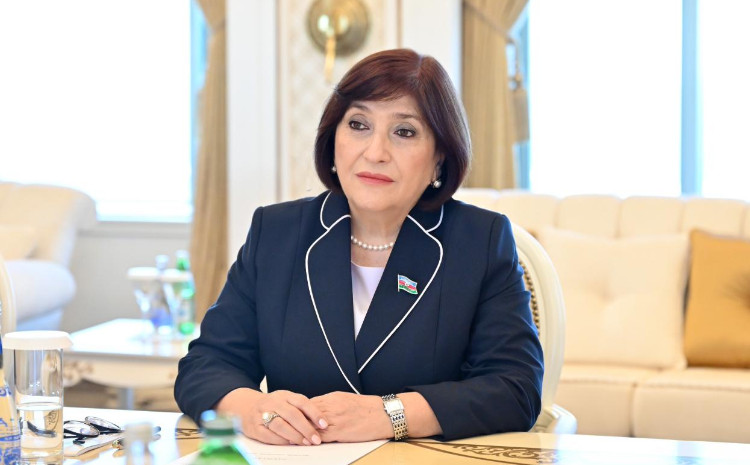 Спикер Милли Меджлиса Сагиба Гафарова провела очередной приём избирателей 