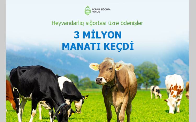 Heyvandarlıq sığortası üzrə ödənişlər - 3 MİLYON MANATI KEÇDİ
