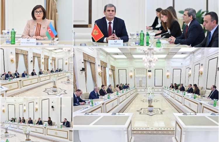 Speaker of Milli Majlis Sahiba Gafarova Meets with Deputy Prime Minister, Minister of Foreign Affairs of Montenegro 