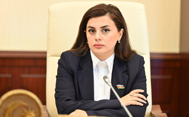 Vensin Bakı səfəri: Strateji xartiya və regional sabitlik gündəliyi 