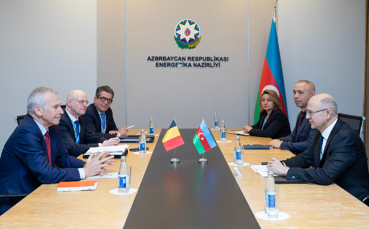 Cooperation opportunities with Belgium in renewable energy and electricity export was discussed 
