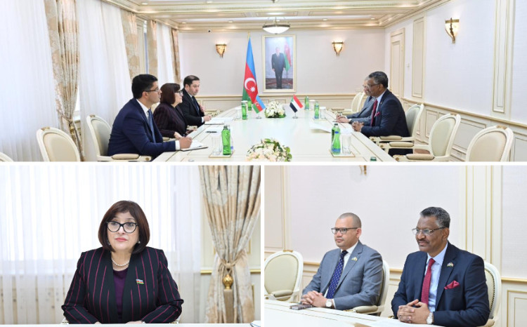Milli Məclisin sədri Sahibə Qafarova Sudanın ölkəmizdəki fövqəladə və səlahiyyətli səfiri ilə görüşüb 