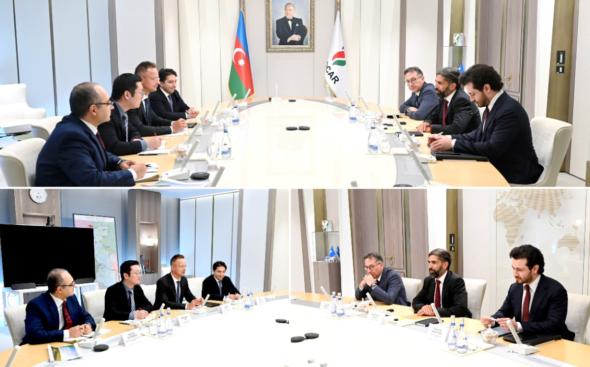SOCAR-ın prezidenti BYD şirkətinin xarici əlaqələr və yeni biznesin inkişafı üzrə rəhbəri ilə görüşüb 