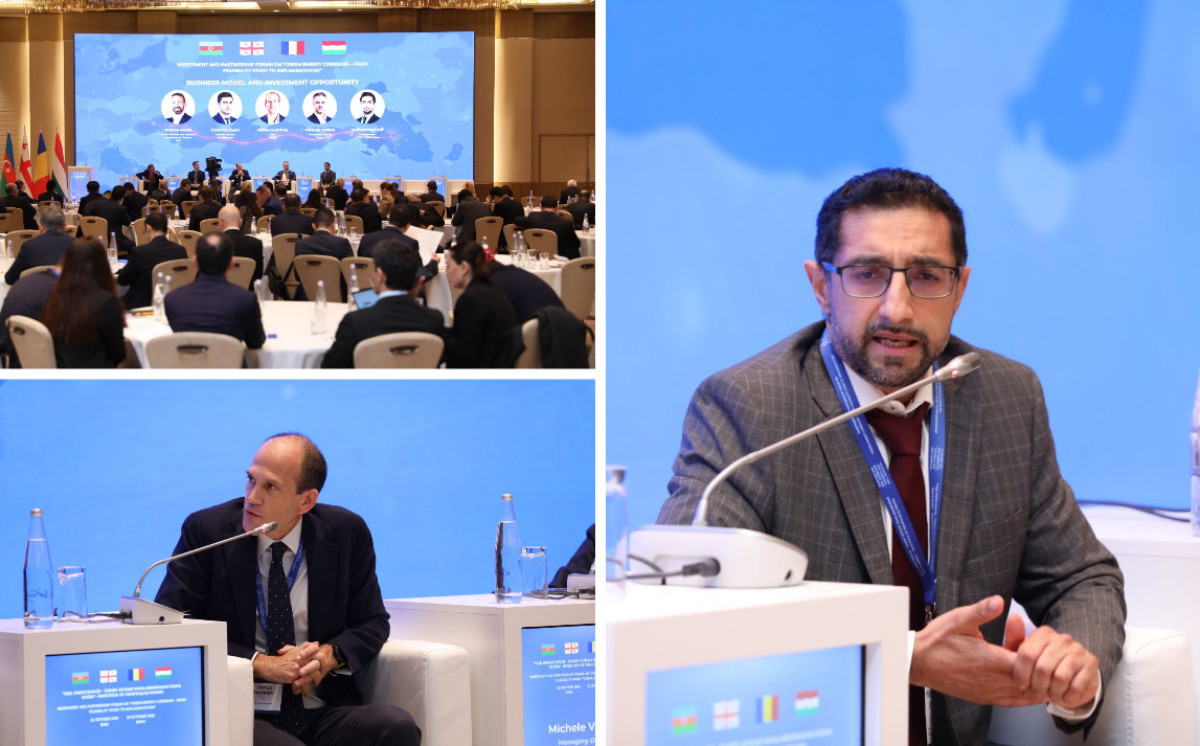 Business Model and Investment Opportunities for the Green Energy Corridor was discussed 