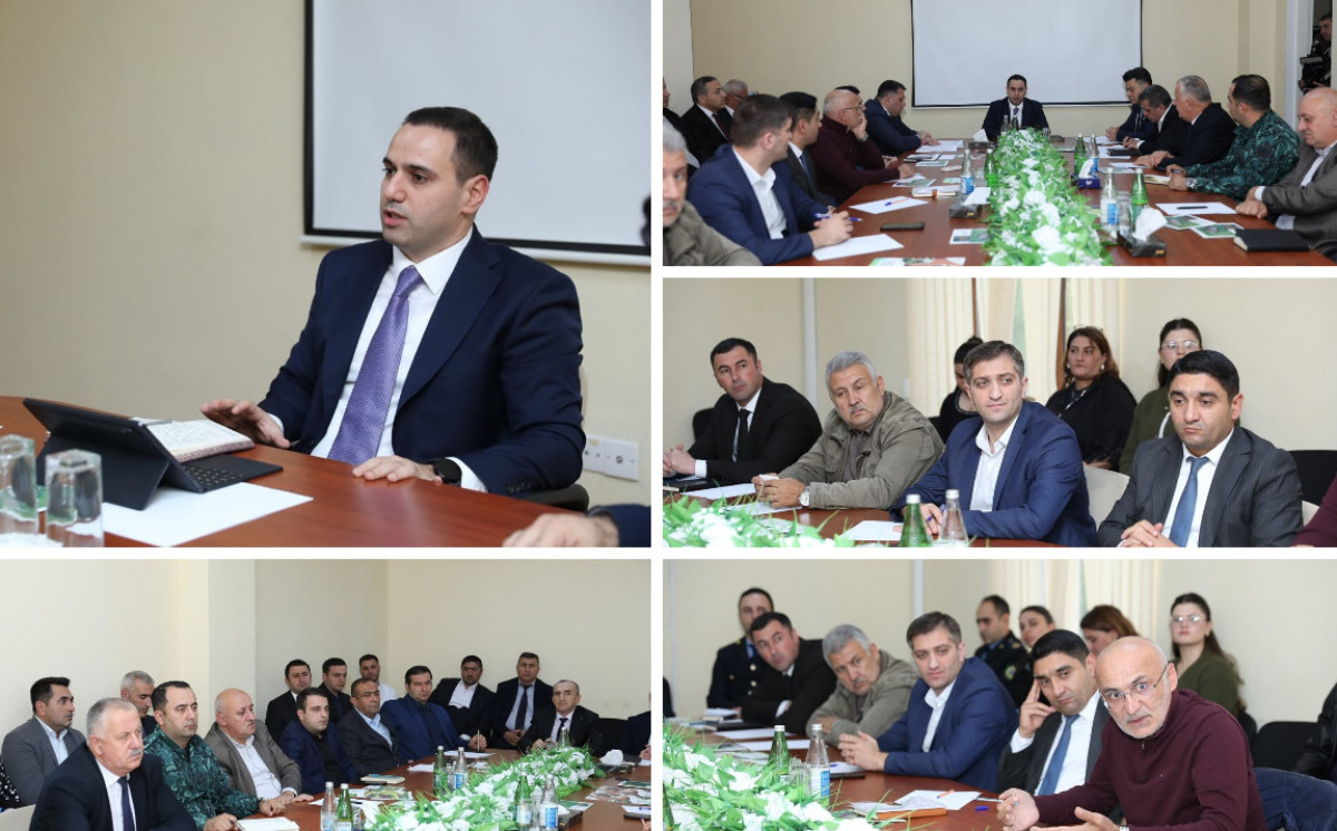 Zaqatalada qəhvəyi mərmər bağacığı ilə bağlı Regional Əlaqələndirmə Mərkəzinin iclası keçirilib 