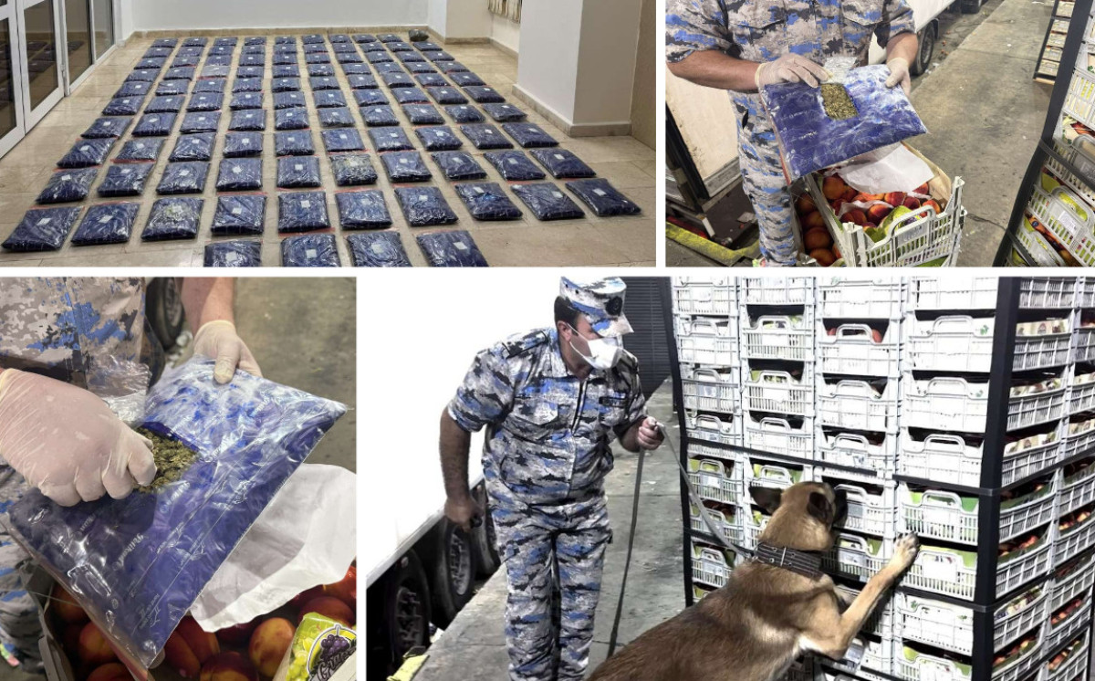 Xüsusilə külli miqdarda narkotik vasitə bu dəfə “şaftalı” yükündə aşkarlandı - VİDEO